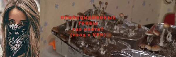 2c-b Алексин