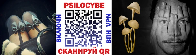это как зайти  Рубцовск  Псилоцибиновые грибы ЛСД 